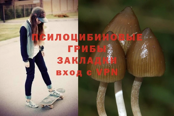 эйфоретик Россошь